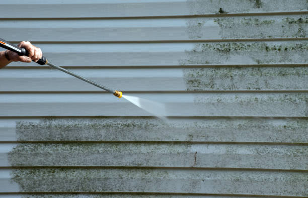 Best Deck Cleaning Services  in Banks Springs, LA