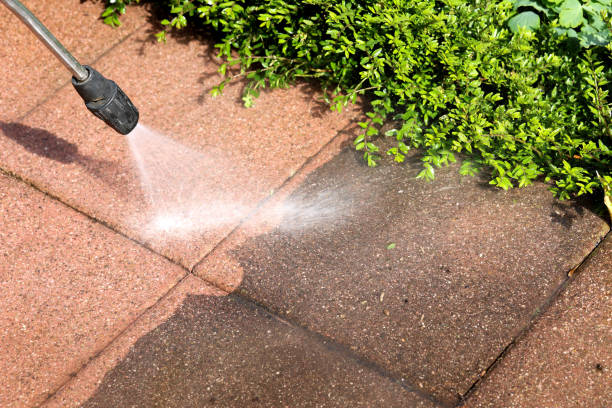 Deck Cleaning Services in Banks Springs, LA
